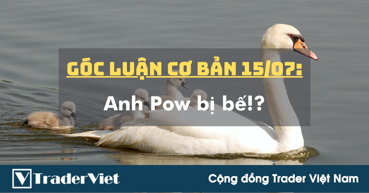 Góc Luận Cơ Bản 15/07: Anh Pow bị bế!?