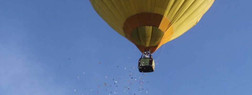 Ông rải tiền từ khinh khí cầu chính là ông mở khóa học Forex trị giá cả trăm triệu hồi trước