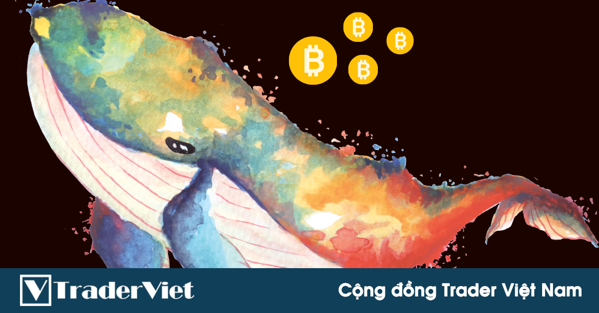 'Cá voi Bitcoin' thức giấc sau 3 năm, gom hàng ồ ạt!