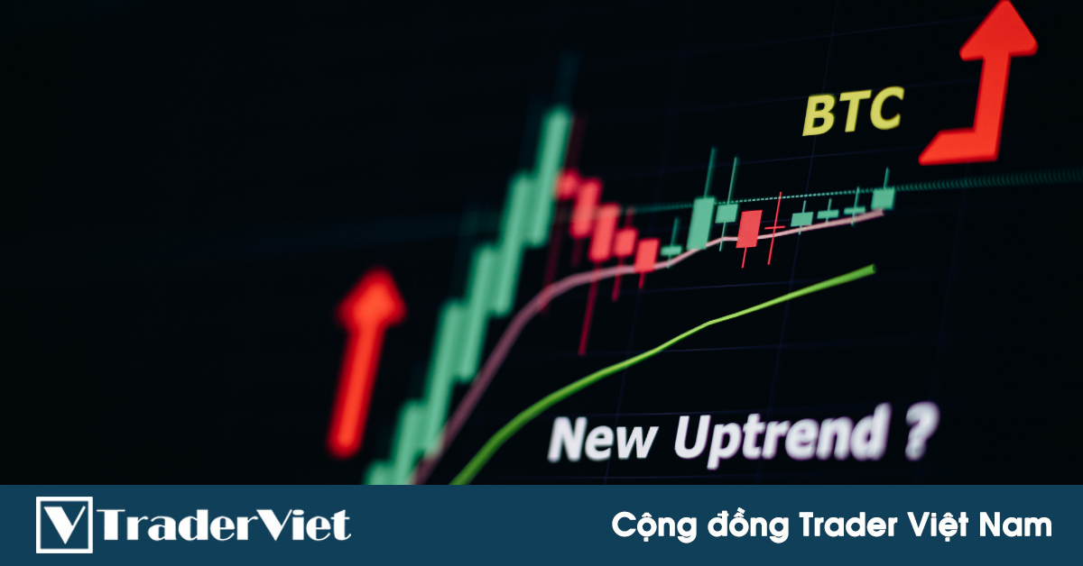 Các khoản đầu tư lớn vào Bitcoin liên tục giảm mạnh, bất chấp thị trường đang có dấu hiệu hồi phục.