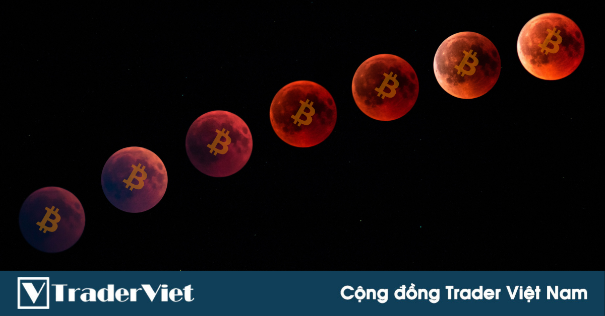 Bitcoin có thể sẽ thiết lập một 'siêu chu kỳ' tăng giá!