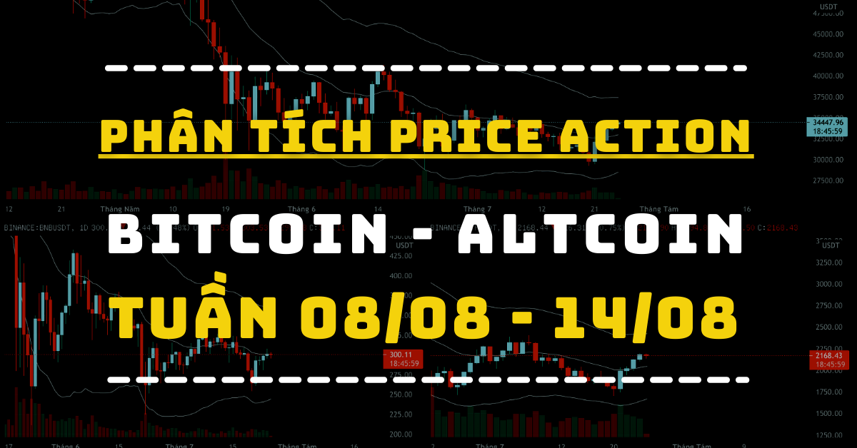 Phân Tích BITCOIN - ALTCOIN Theo Price Action Tuần 08-14/08