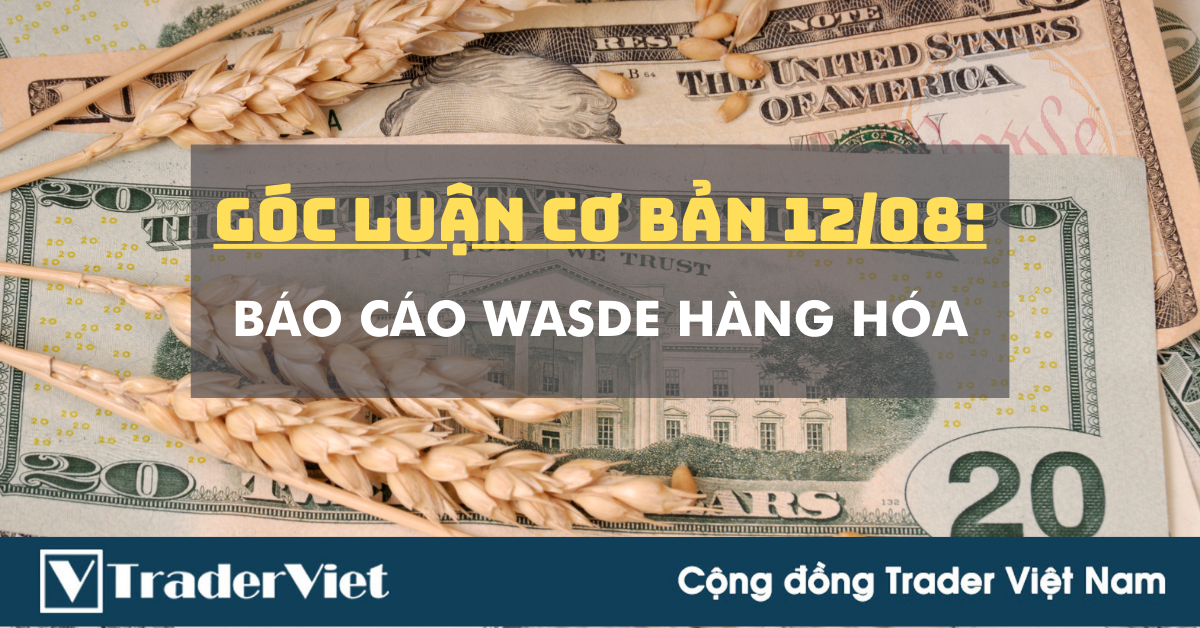 Góc Luận Cơ Bản 12/08: Nay có thêm Wasde Hàng hóa!