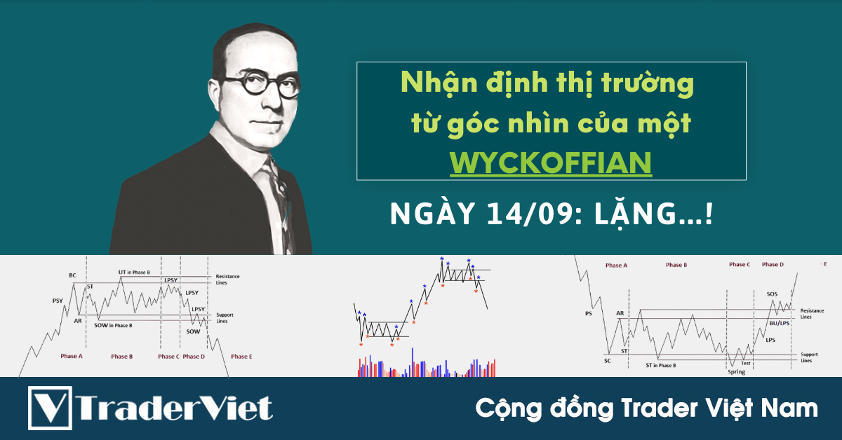 Nhận định Thị Trường dưới góc nhìn của một Wyckoffian - 15/9: ....!
