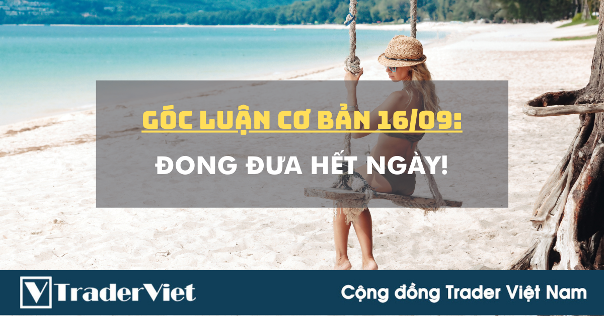 Góc Luận Cơ Bản 16/09: Đong đưa hết ngày!