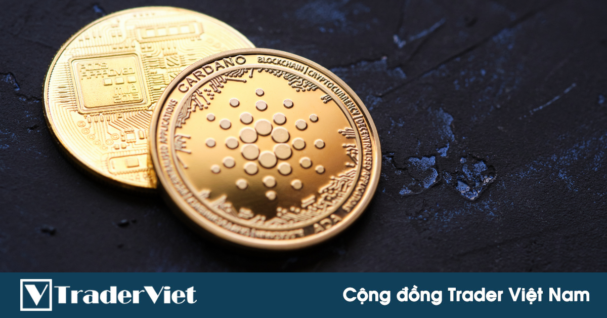 Nhận định thị trường crypto phiên 17/09: Điểm qua thị trường Altcoin!