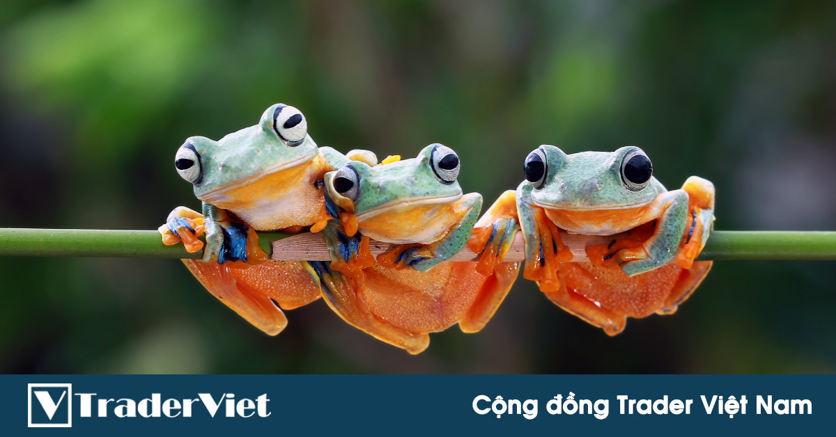 Chủ động thực hiện 5 điều này, kết quả giao dịch của trader tự nhiên sẽ có sự thay đổi