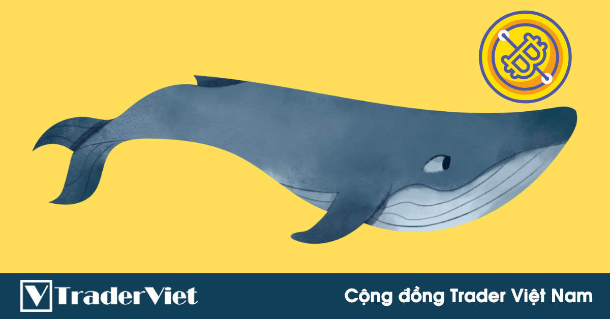 Thêm 'cá voi' Bitcoin thức giấc sau gần 9 năm không hoạt động