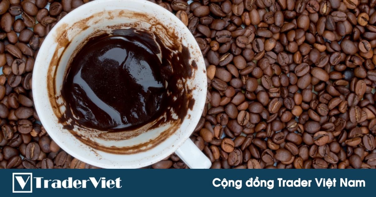 Chia sẻ tâm huyết của một Trader Việt từng làm việc cho Broker