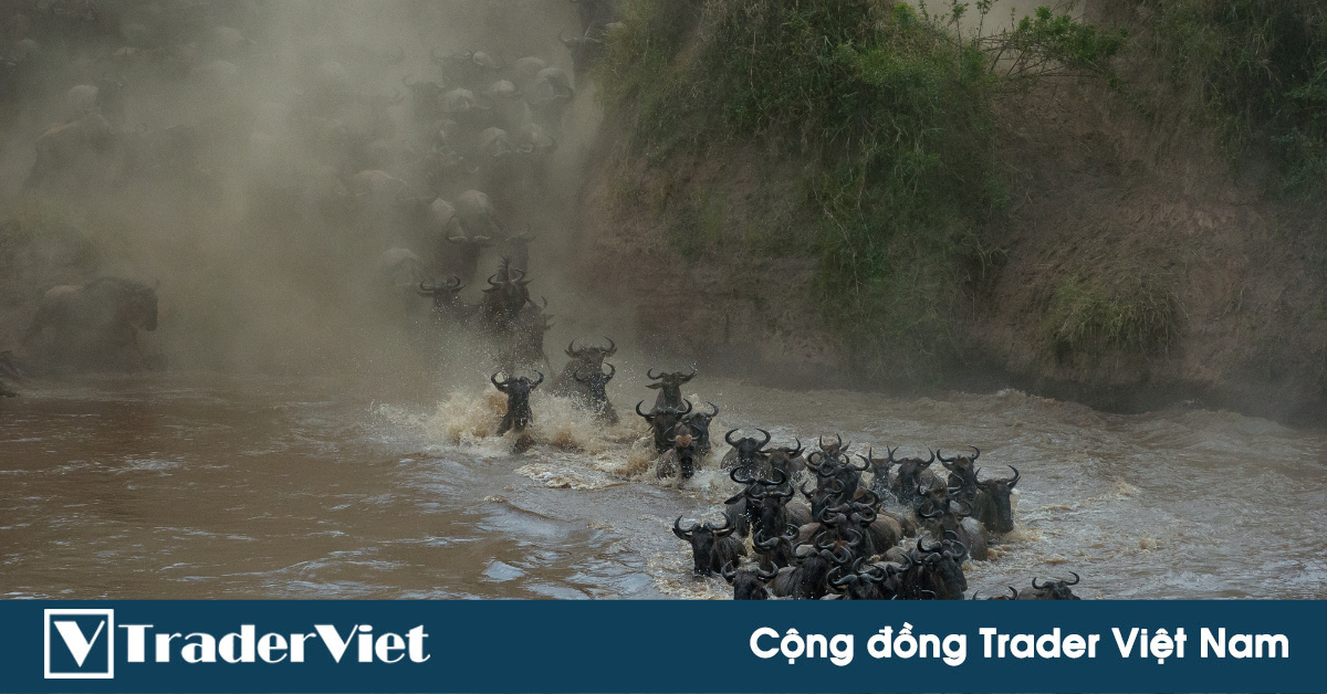 Hôm nay trade coin gì? - Ngày 11/10: Hỗn loạn