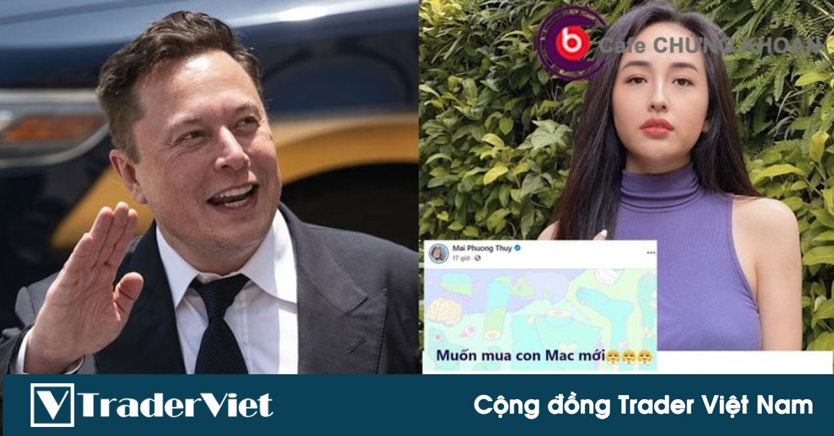 Điểm nóng MXH 20/10 - Cộng đồng Trader Việt Nam: Trời đã sinh Musk, sao còn sinh Thuý?