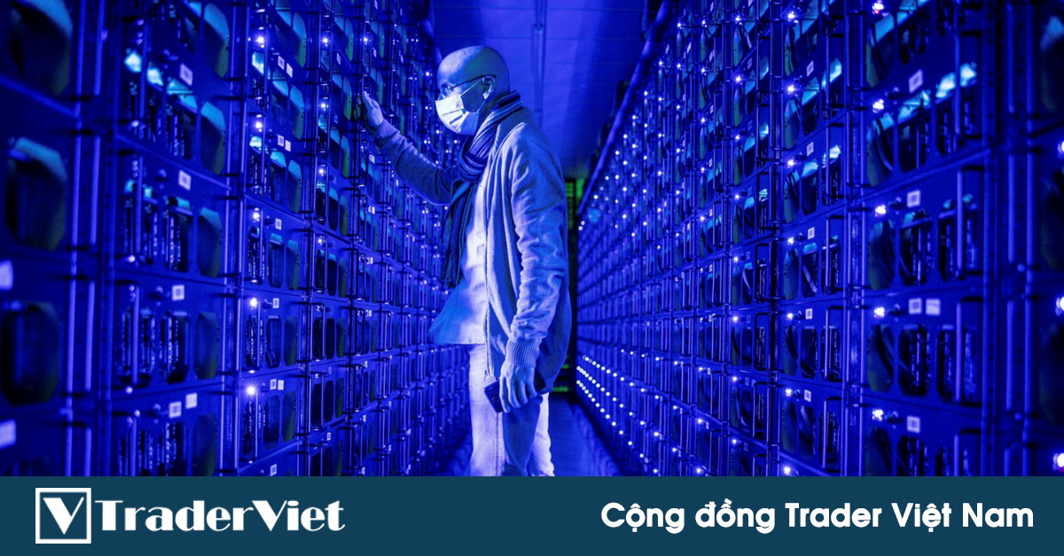 Mua 50 Bitcoin với giá 4 USD rồi 'để ngủ yên' suốt 11 năm, một thợ đào vừa bán ra và thu về 3,1 triệu USD