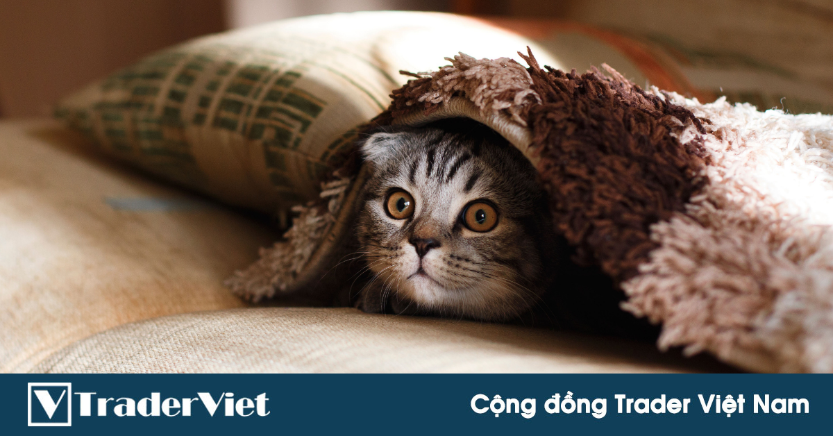 Nhận định thị trường crypto phiên 28/10: Tiếp tục "án binh"