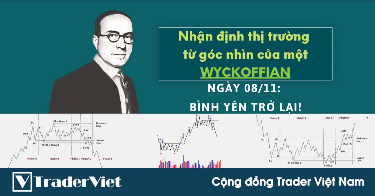 Nhận định Thị Trường dưới góc nhìn của một Wyckoffian - 08/11: Bình yên trở lại!