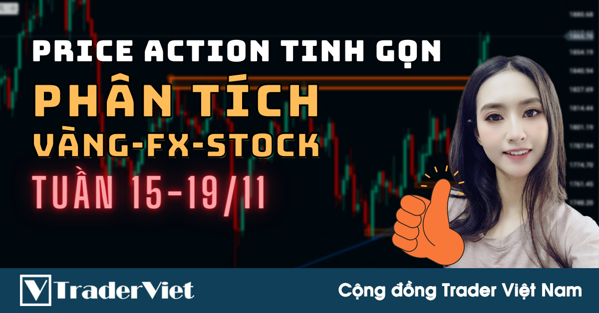 Phân Tích VÀNG-FOREX-STOCK Tuần 15-19/11 Theo Phương Pháp Price Action Tinh Gọn