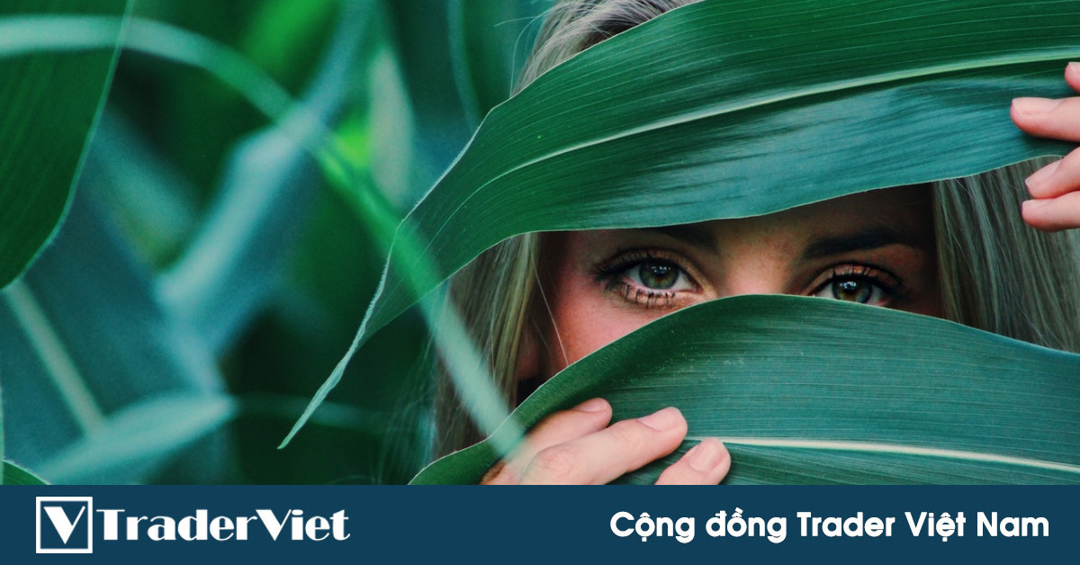 Kiểm soát được 2 kiểu cảm xúc này thì anh em trader không cần phải lo lắng nhiều về tâm lý trong giao dịch nữa