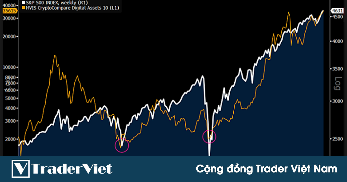 Đây là lợi thế lớn của tiền điện tử so với chứng khoán, theo Mike McGlone
