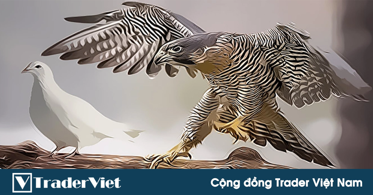 Tiêu điểm phiên Mỹ 17/11: Liệu có nhiều hơn nữa những “hawkish”?