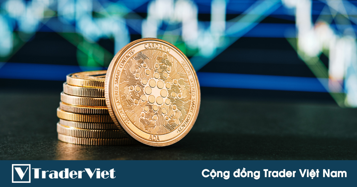 52% địa chỉ Cardano đang mất khả năng sinh lời dù dòng vốn vào tăng cao