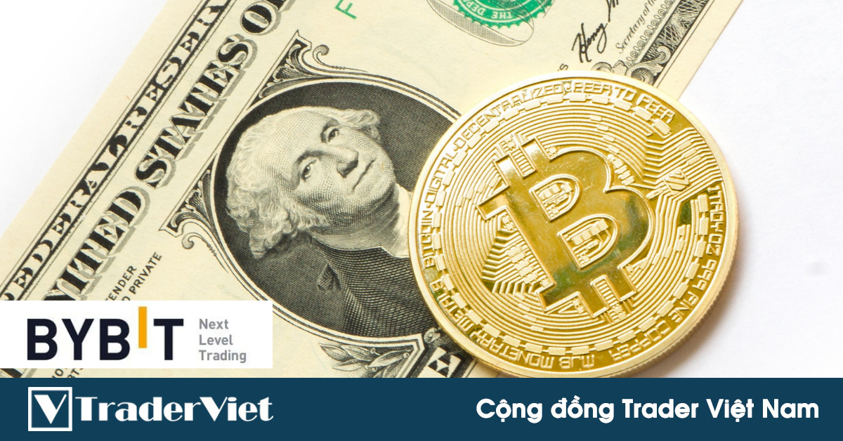 Mời anh em tham khảo nhận định của chuyên gia Mish Schneider về thị trường crypto thời gian tới!