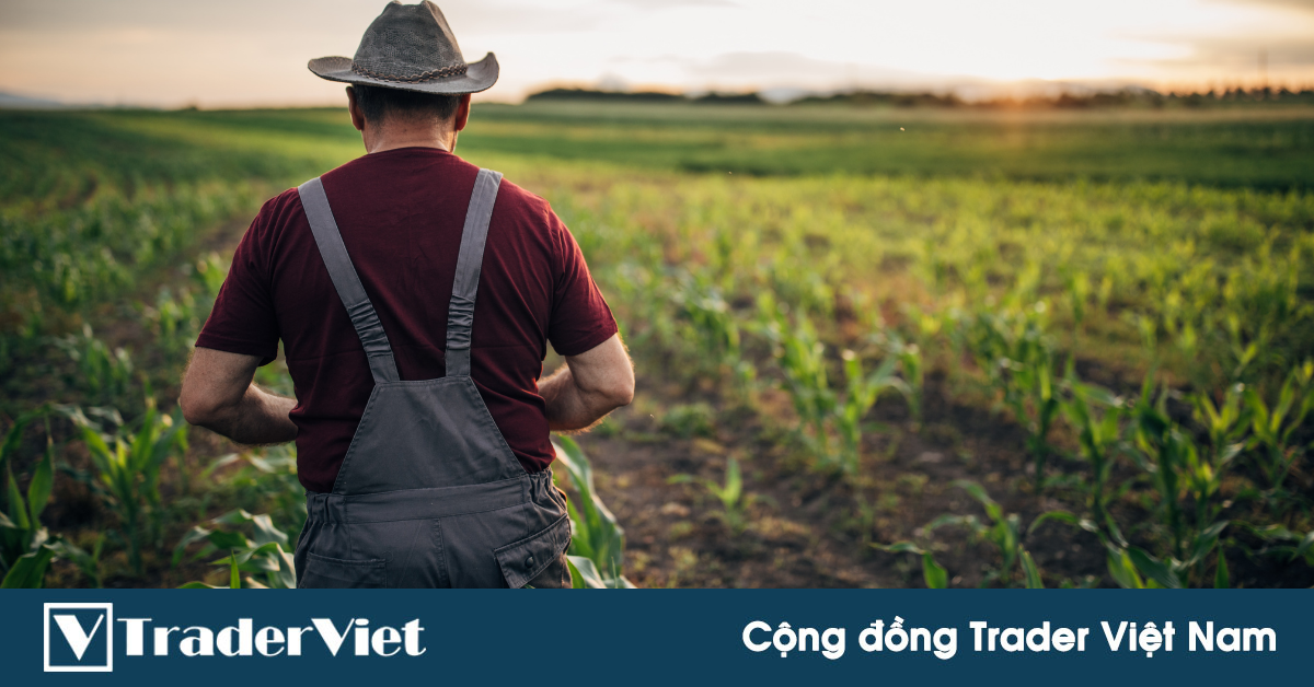 Trader ngân hàng hàng đầu thế giới bỏ nghề về quê làm nông nghiệp
