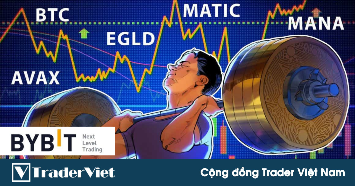 [Danh sách theo dõi Crypto] Avalanche (AVAX) & Polygon (MATIC)