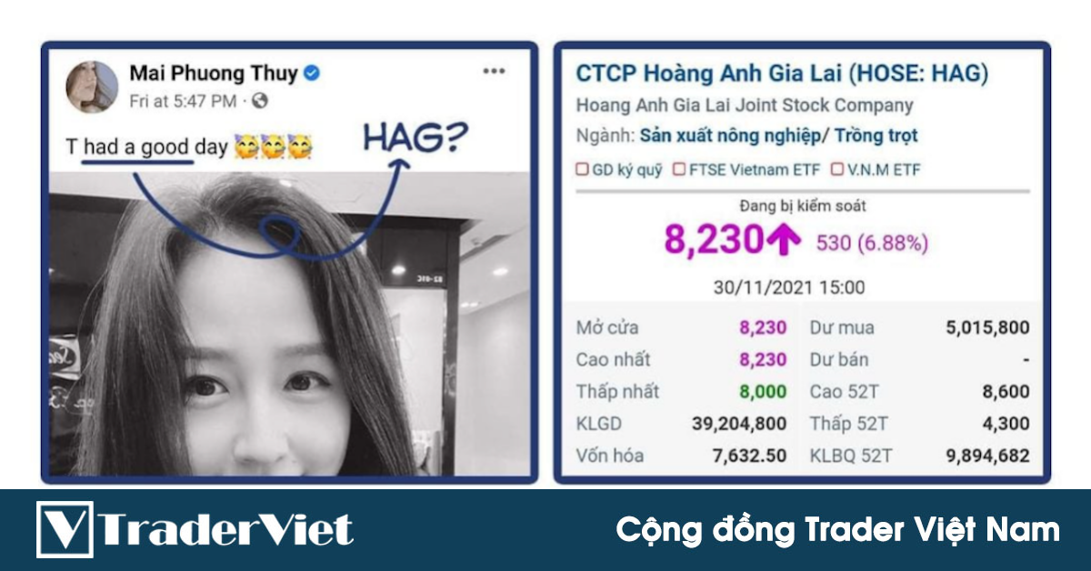 Điểm nóng MXH 01/12 - Cộng đồng Trader Việt Nam: Đẳng cấp mới - Phân tích HOA HẬU!