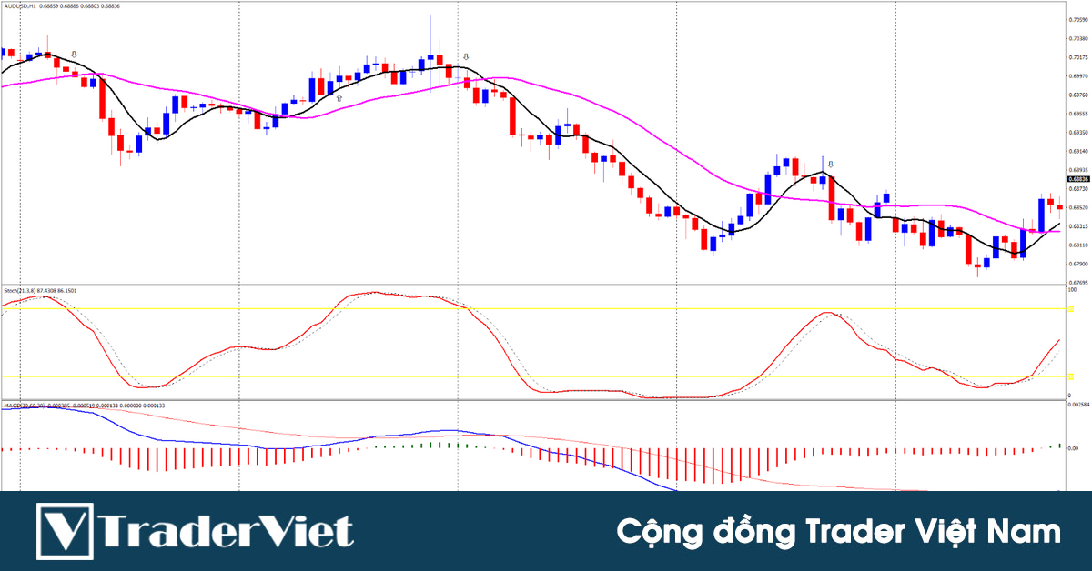 Kỹ thuật bắt con sóng có động lượng lớn trong xu hướng