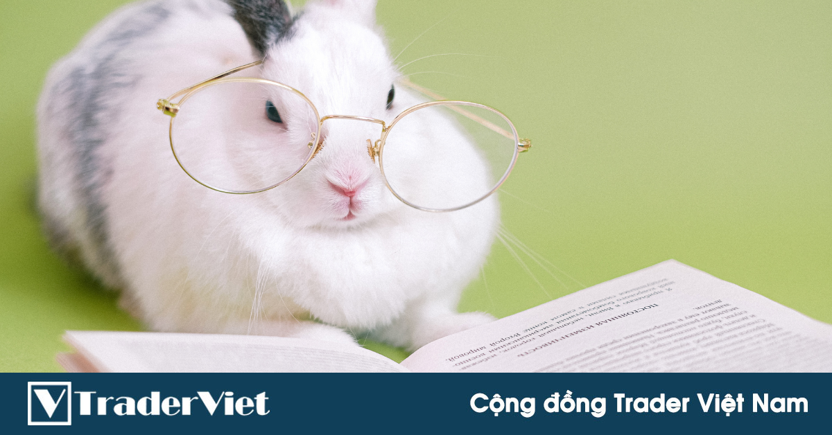 Muốn giữ được kỷ luật trong trading trước hết hãy làm tốt 2 việc này