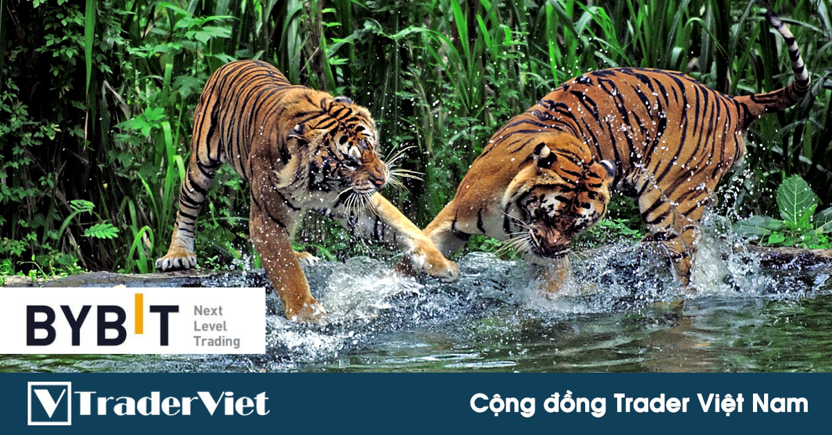 Nhận định thị trường crypto phiên 07/12: Tọa sơn quan hổ đấu!