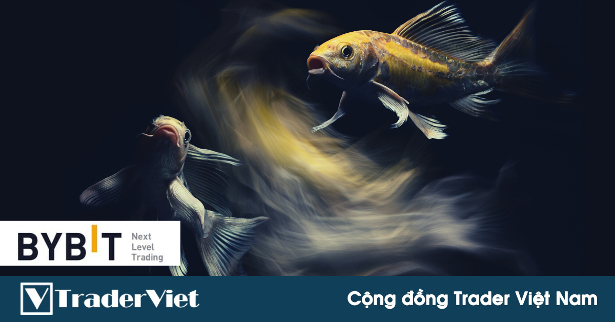 Hôm nay trade coin gì? - Ngày 08/12: Vẫn chưa vượt vũ môn!