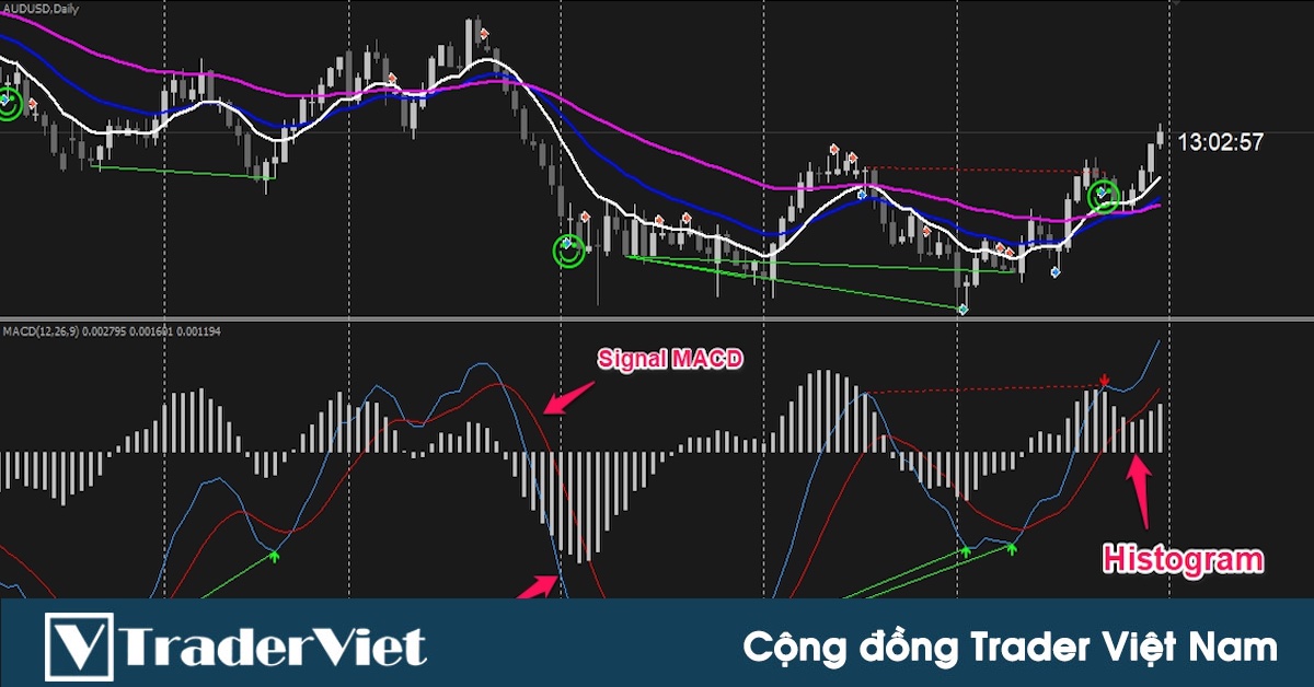 Tất tần tật về MACD-Histogram - Giá lên hay xuống? (Phần 3)