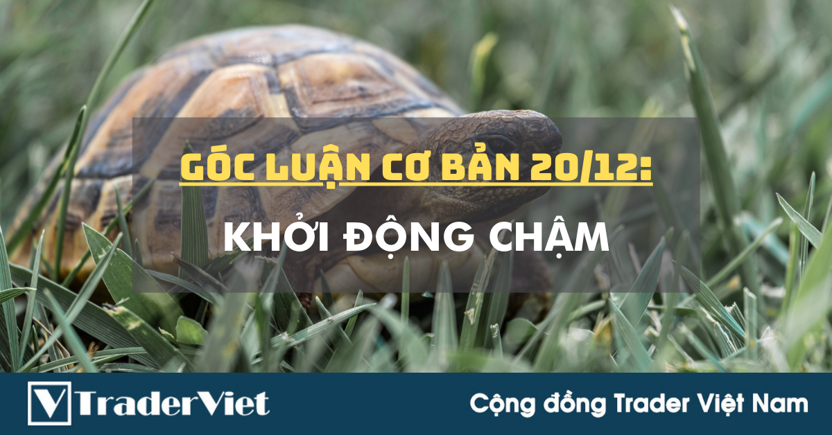 Góc Luận Cơ Bản 20/12: Khởi động Chậm