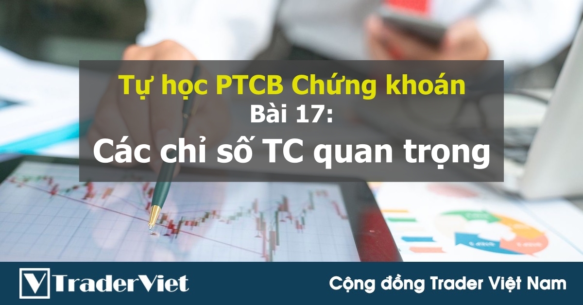 [Tự học PTCB chứng khoán] Bài 17: Các chỉ số tài chính quan trọng