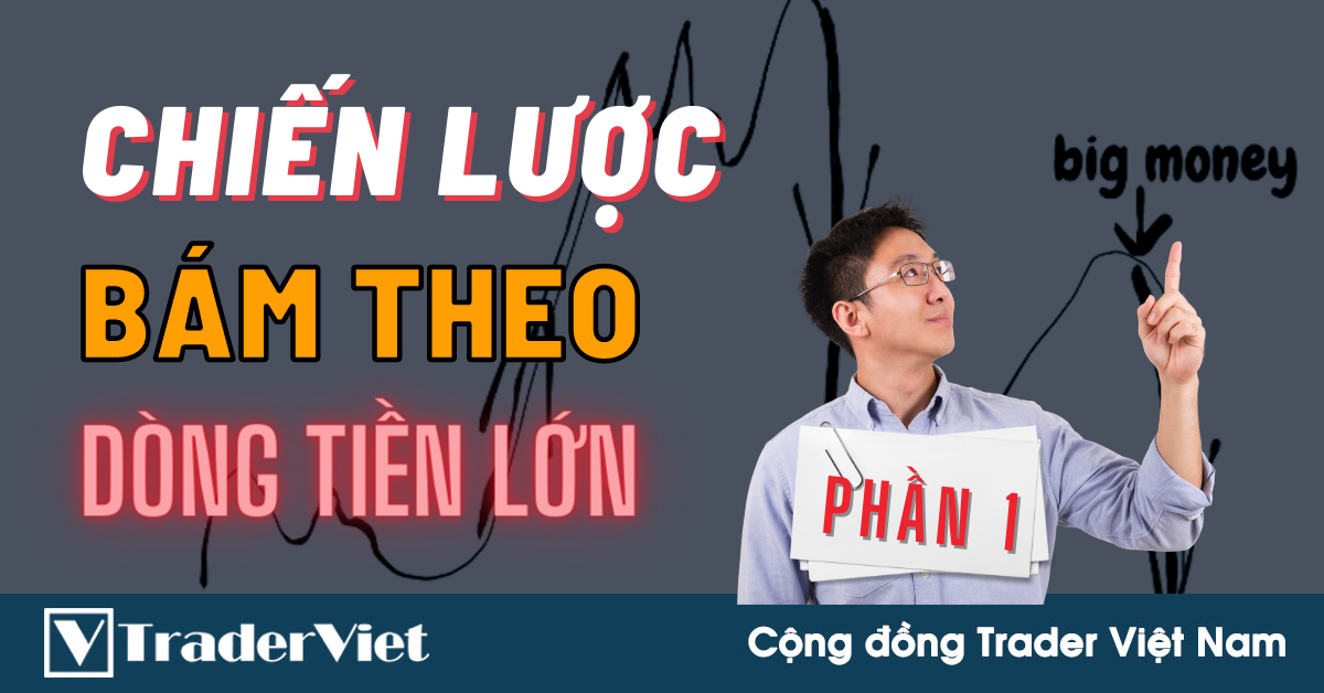 Chiến Lược Bám Theo Dòng Tiền Lớn Để Bắt Con Sóng Dài (Phần 1)