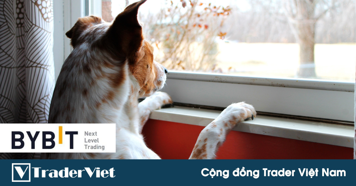 Hôm nay trade coin gì? - Ngày 05/1: Vẫn chưa đến cữ!