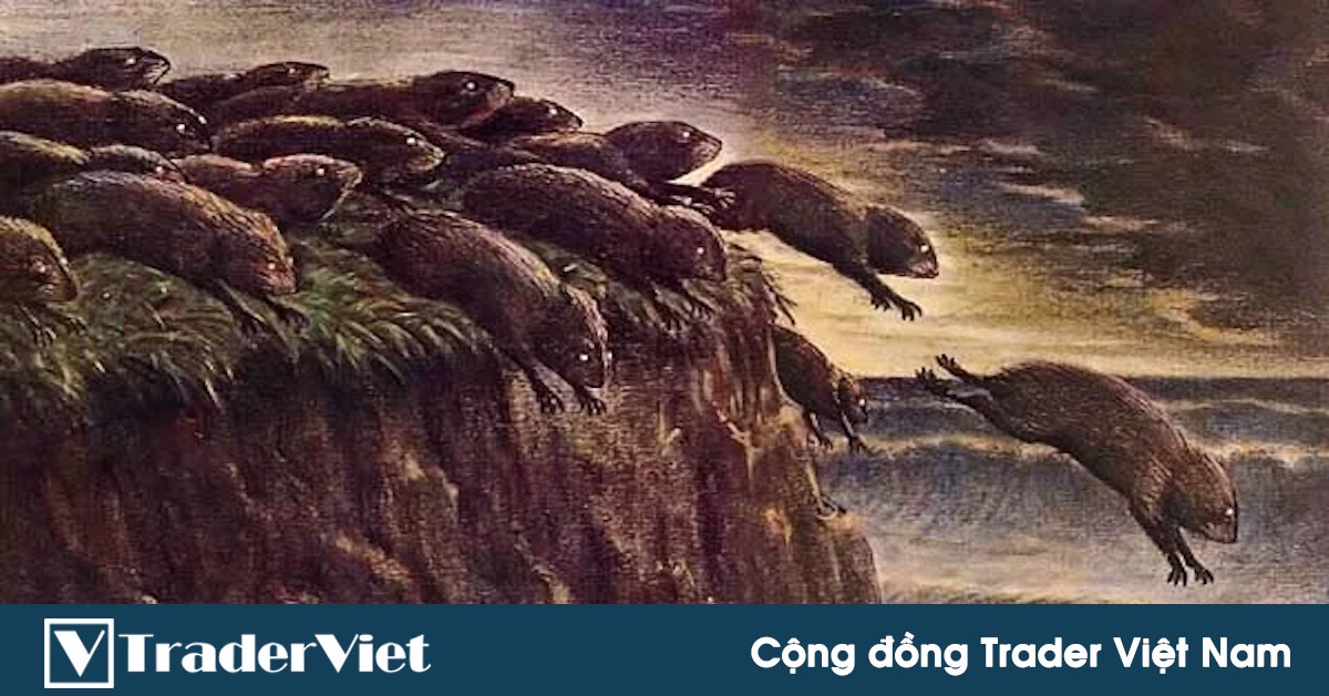 Câu chuyện bầy đàn của loài chuột Lemming và bài học kinh điển trong đầu tư