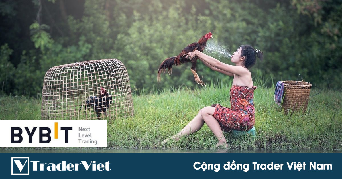 'Bị lùa gà và xả coin, tôi mất niềm tin vào các dự án blockchain Việt'