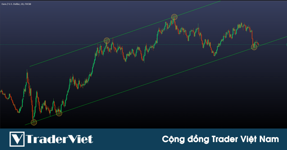 Những kiến thức cần thiết để trader có thể thành công trong giao dịch