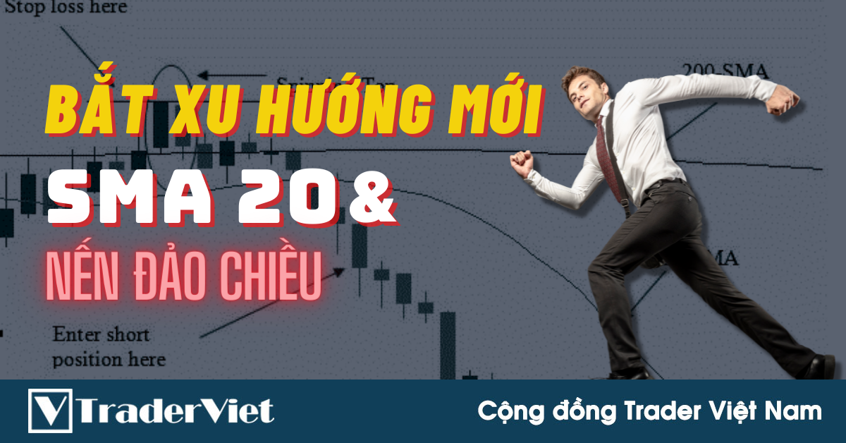 Chiến Lược Bắt Xu Hướng Mới Kết Hợp Đường SMA 20 Với Mô Hình Nến Đảo Chiều