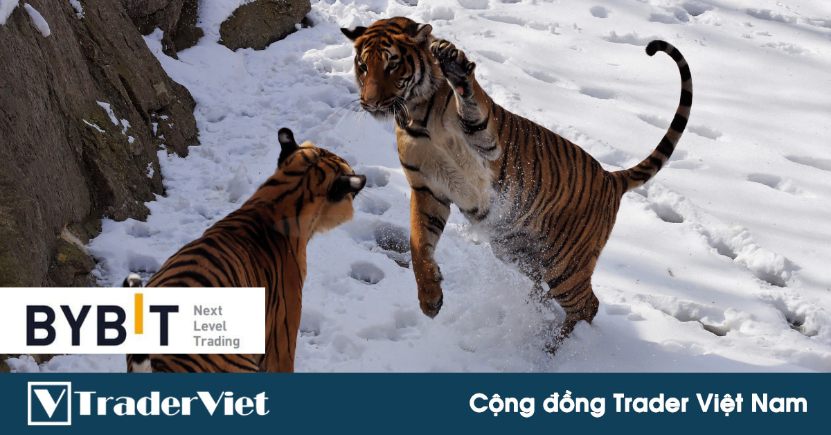 Nhận định thị trường crypto phiên 14/01: Tọa sơn quan hổ đấu!