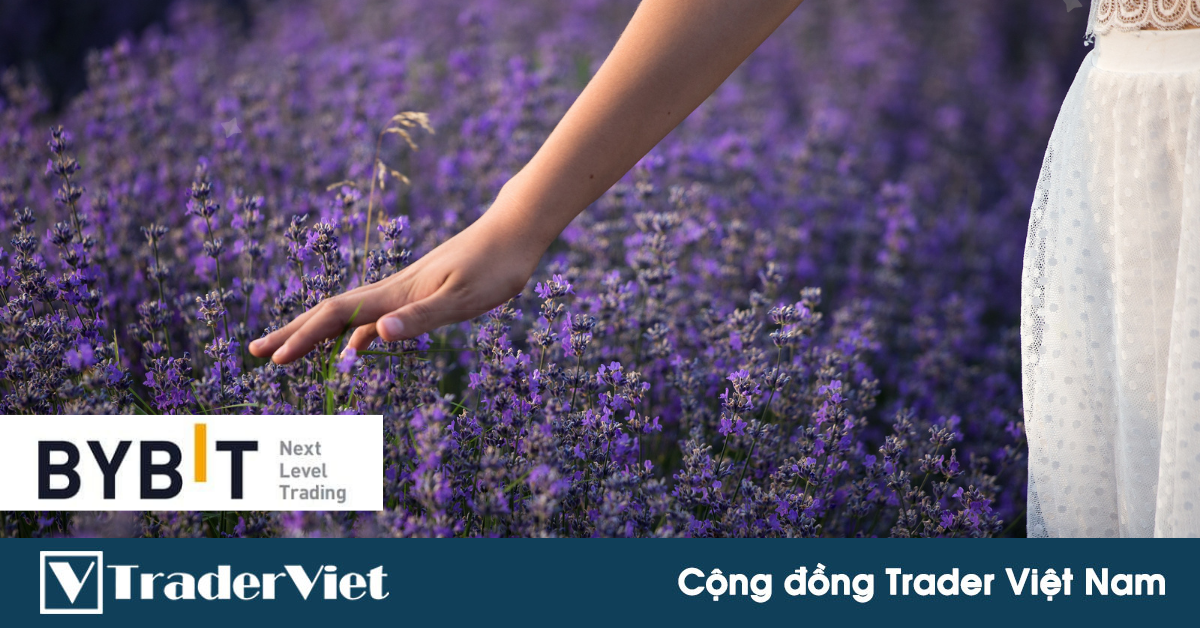 Tuần tới trade coin gì? - Tuần 17/01 - 23/01: Chờ chạm lại EMA25!