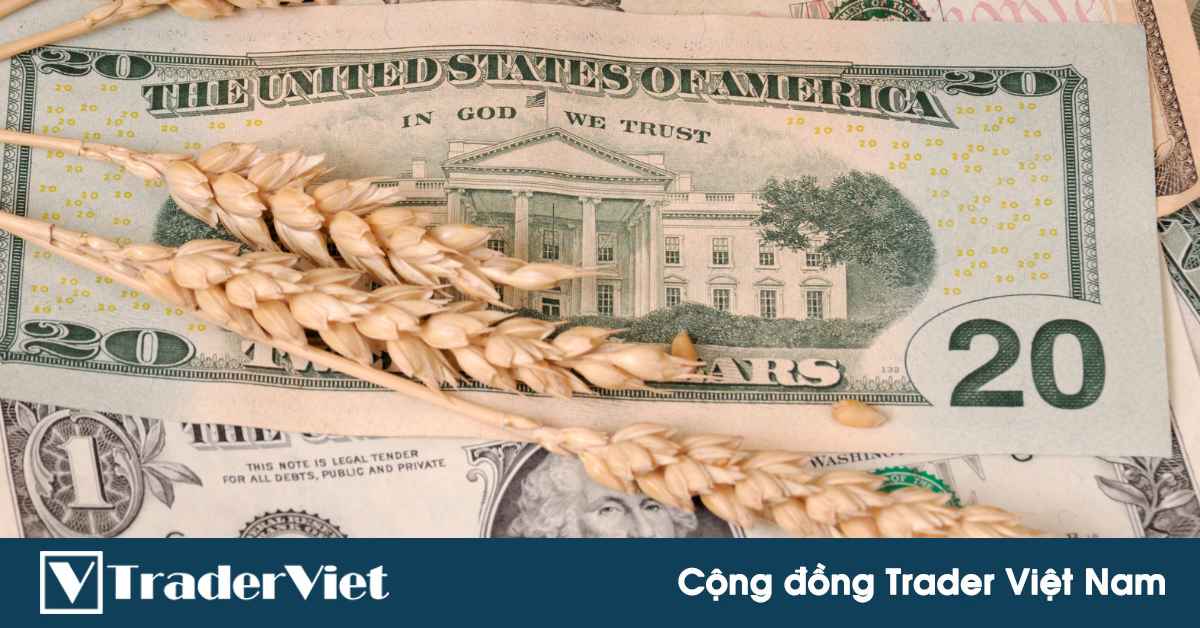 Báo cáo Thanh tra xuất khẩu tuần: Giao hàng cả 3 nông sản Mỹ tăng đột biến!