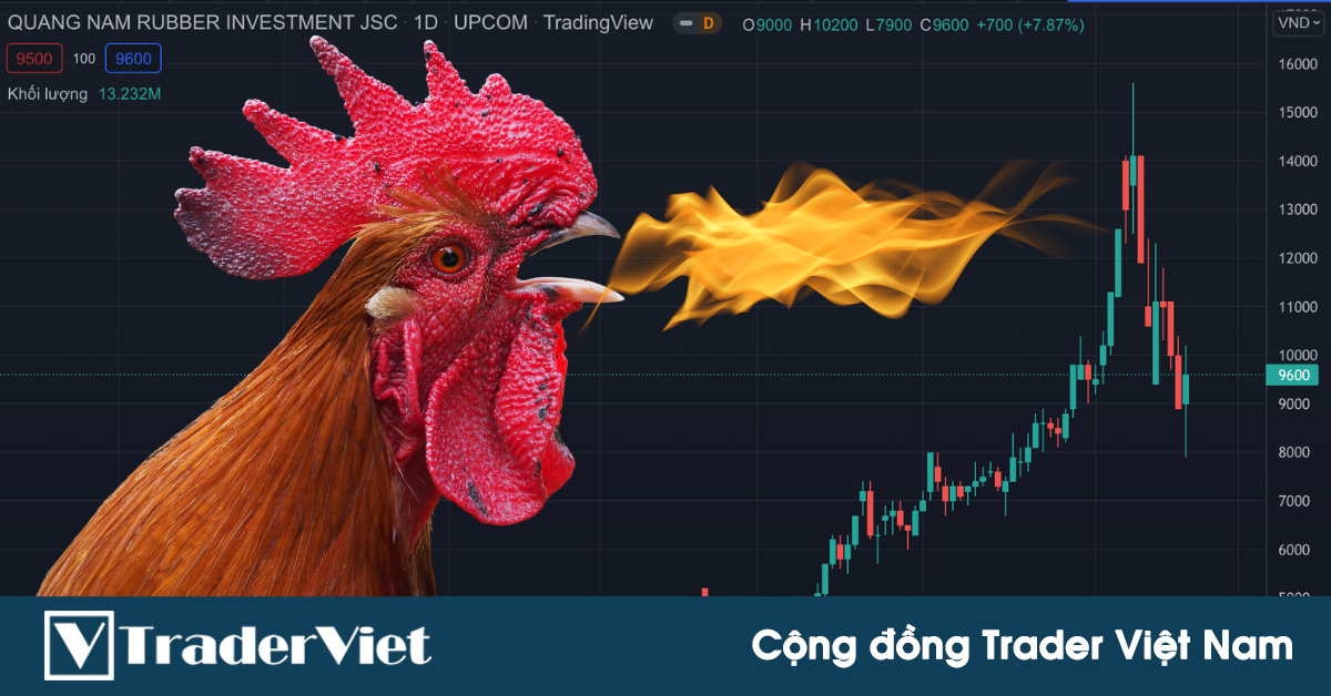 Điểm nóng MXH 20/01 - Cộng đồng Trader Việt Nam: Con gà gáy le té le cháy rồi ai ơi...