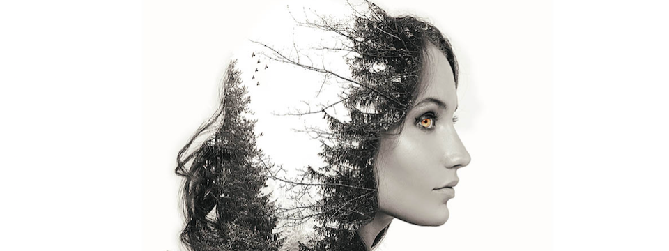 Hệ thống giao dịch Gấp Đôi Tài Khoản: Cái tên nói lên tất cả