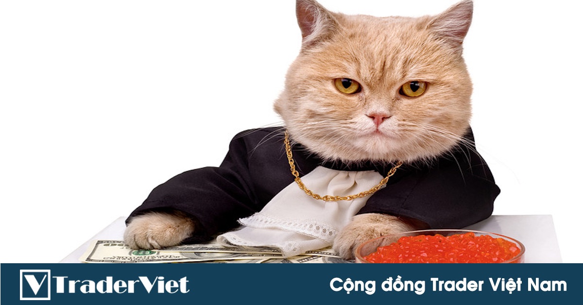 Chuyện thật như đùa: Một thí nghiệm cho thấy các nhà quản lý đầu tư chuyên nghiệp "đánh" chứng khoán thua xa...một chú mèo!