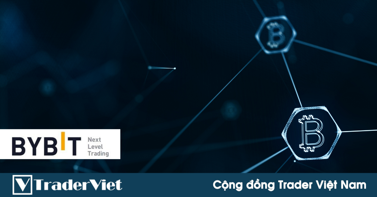 Thống kê vui nhưng có căn cứ về ngày Halving và ngày tạo đỉnh của BTC - Liệu BTC vẫn chưa tạo đỉnh?