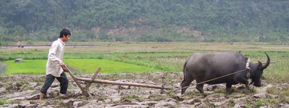 [Video Clip] Bên trong "chuồng trâu cày" Bitcoin cá nhân giá 2 tỷ của anh em Bitcoin Việt Nam