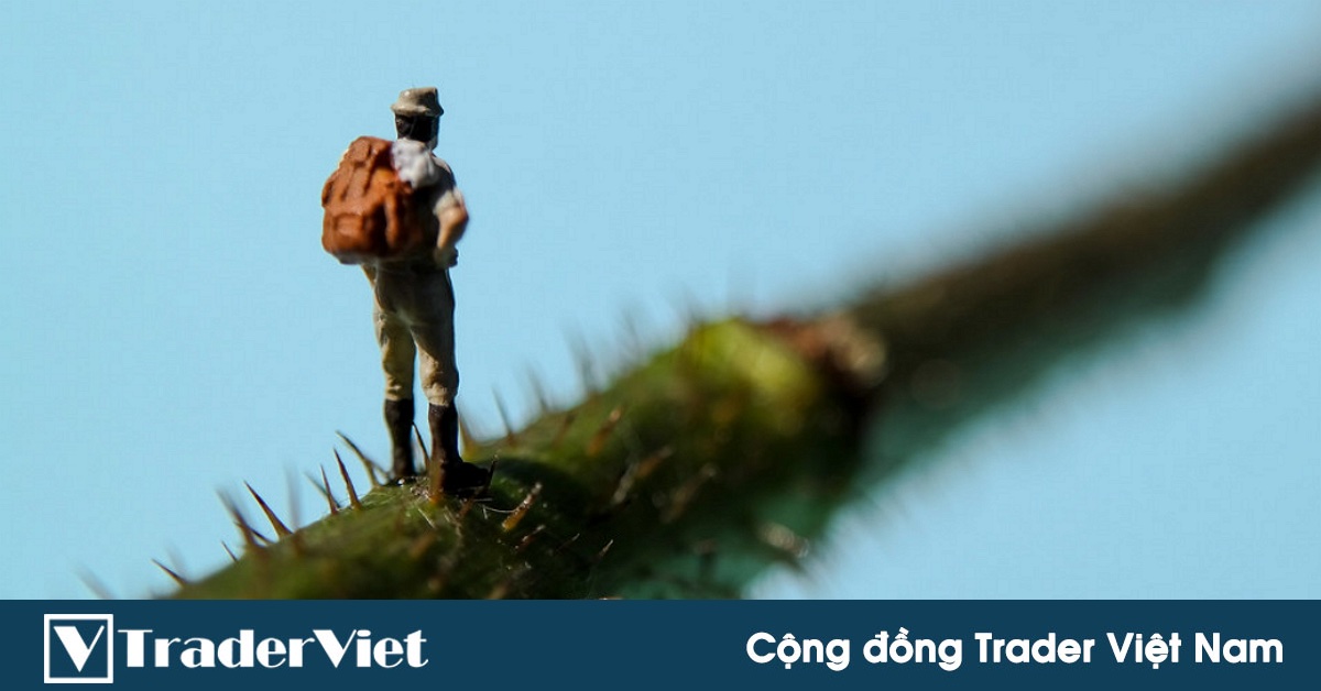 [Trader chia sẻ] Sinh viên đại học ôm khối nợ gần 8 tỷ đồng vì chứng khoán - Cú vấp đầu đời, may hay rủi?