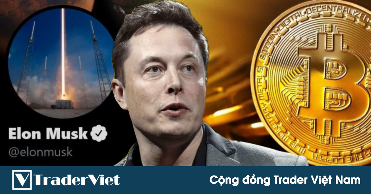 Elon Musk tuyến bố vẫn đang nắm giữ lượng lớn Bitcoin, Dogecoin